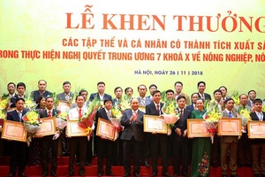 Bước chuyển sau 10 năm thực hiện Nghị quyết về “tam nông”