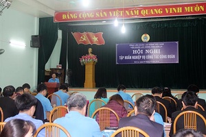 LĐLĐ tỉnh: Tập huấn nghiệp vụ công tác công đoàn năm 2018