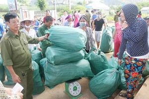 Tăng cường quản lý sử dụng thuốc bảo vệ thực vật