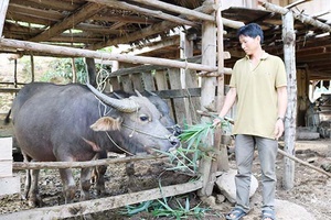 Púng Bánh xây dựng môi trường xanh, sạch, đẹp