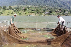 Mường Thải khai thác tiềm năng, phát triển kinh tế