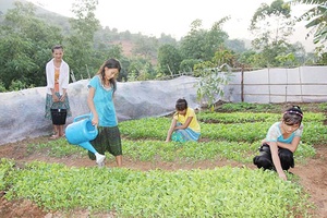 Đảm bảo vệ sinh an toàn thực phẩm tại các trường học bán trú