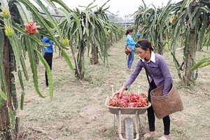 Giảm nghèo từ chương trình xây dựng nông thôn mới