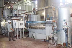 Mía đường Sơn La vào vụ sản xuất