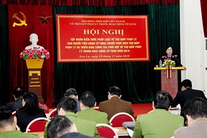 Hội nghị tập huấn kiến thức pháp luật về trợ giúp pháp lý trong hoạt động tố tụng