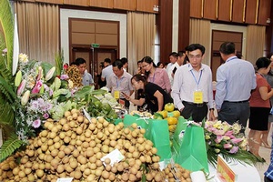 Xây dựng thương hiệu cho nông sản Sơn La