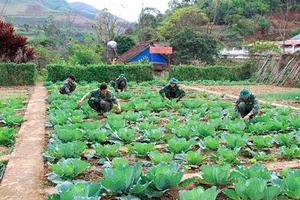 Đồn là nhà, biên giới là quê hương