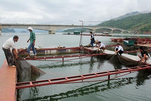 Học Bác gắn với nhiệm vụ phát triển kinh tế - xã hội ở địa phương