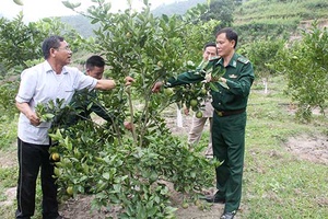 Đảng bộ Bộ đội Biên phòng tỉnh: Lãnh đạo, chỉ đạo thực hiện tốt nhiệm vụ chính trị, công tác biên phòng