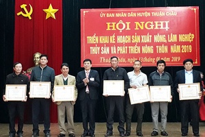 Thuận Châu: Triển khai kế hoạch sản xuất nông, lâm nghiệp, thủy sản và phát triển nông thôn năm 2019