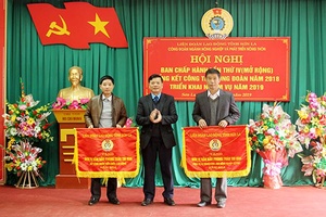 Công đoàn ngành NN&PTNT triển khai nhiệm vụ năm 2019