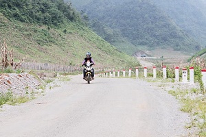 Xuân về Lóng Luông