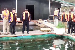 Đồng chí Phó Chủ tịch UBND tỉnh làm việc tại huyện Quỳnh Nhai