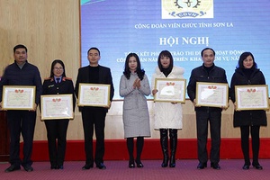 Công đoàn Viên chức tỉnh triển khai nhiệm vụ năm 2019 