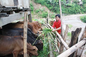 Hiệu quả nguồn vốn Quỹ hỗ trợ nông dân