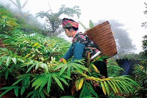 “Dân vận khéo” mang đến ấm no