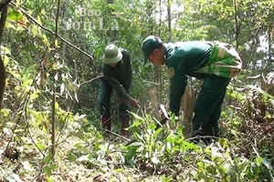 Thuận Châu thực hiện tốt chính sách chi trả dịch vụ môi trường rừng