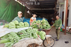 Tìm đầu ra cho nông sản trước tác động của dịch COVID-19