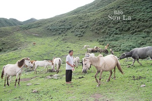 Ông Thào A Lầu làm kinh tế giỏi