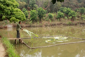 Chiềng Khoi nỗ lực phấn đấu đạt chuẩn nông thôn mới