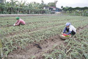 Hội Nông dân Phù Yên nâng cao chất lượng hiệu quả hoạt động