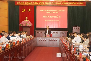 Phiên họp thứ 45, UBND tỉnh khóa XIV