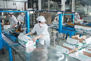 Toàn tỉnh: Duy trì và phát triển sản xuất, chế biến theo chuỗi giá trị