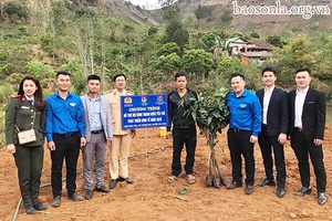 Nhiều hoạt động hưởng ứng Tháng thanh niên