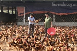 Công việc nhà nông tháng 3
