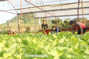 Điểm tựa của hội viên