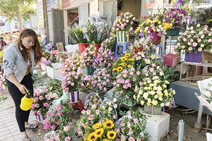 Những đóa hoa tươi thắm dành cho ngày 8/3