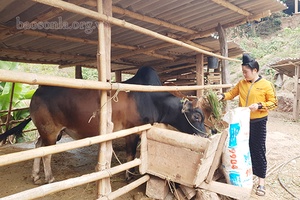 Điểm tựa cho hội viên vươn lên thoát nghèo