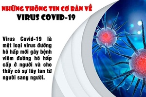 [Infographic] Những thông tin cơ bản về virus Covid-19