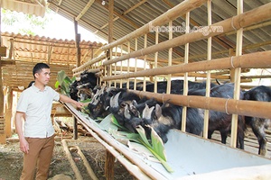 Hội Nông dân xã Bó Mười đồng hành với hội viên phát triển kinh tế