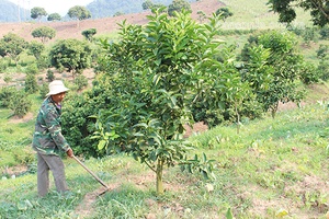 Về Suối Quanh hôm nay