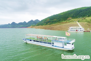 Phát huy vai trò liên kết, hợp tác bảo vệ quyền lợi hội viên