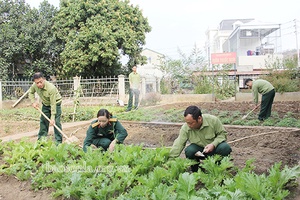 Kết hợp giáo dục chính trị và huấn luyện quân sự ở Ban CHQS huyện Sông Mã