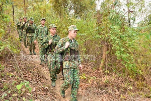 Những bước chân không mỏi