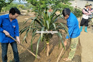 Chi đoàn Tiểu khu Pa Khen: Phát động phong trào “Ngày Chủ nhật xanh”