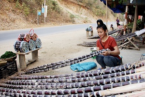 Cần giải pháp cho phát triển cây mía tím ở Chiềng Khương