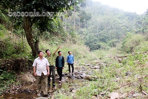 Chiềng Yên giữ rừng