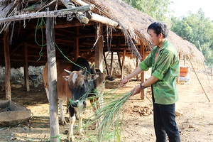 Nét mới ở Mường Lèo