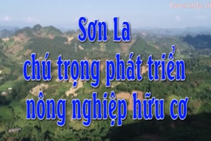 Sơn La chú trọng phát triển nông nghiệp hữu cơ