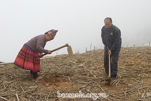 Mùa gieo hạt ở bản Đèo Chẹn