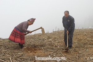 Mùa gieo hạt ở bản Đèo Chẹn
