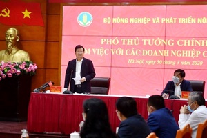 Phải giảm giá thịt lợn xuống ở mức hợp lý