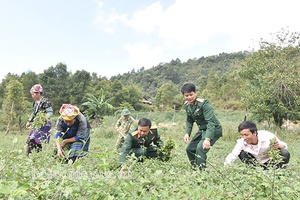 Sốp Cộp triển khai hiệu quả các chương trình, chính sách dân tộc