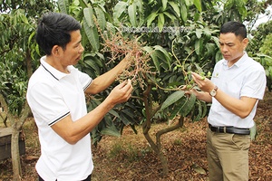 Cuộc vận động “Toàn dân đoàn kết xây dựng nông thôn mới, đô thị văn minh” ở Sông Mã