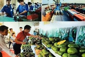 Thúc đẩy liên kết doanh nghiệp tham gia chuỗi giá trị toàn cầu