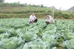 Phát huy vai trò lãnh đạo nhân dân phát triển kinh tế